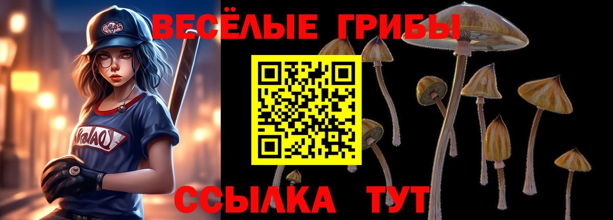 Холмск  купить   Вход с VPN  Галлюциногенные грибы Psilocybine cubensis 