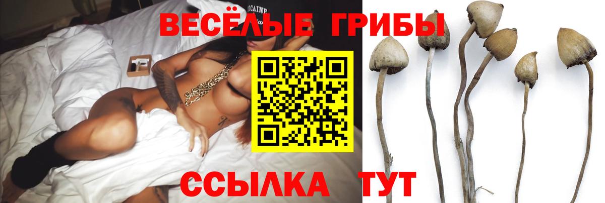 Галлюциногенные грибы GOLDEN TEACHER Холмск